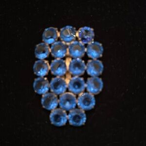 Vintage - Shape in Crystal Blue Grape Brooch! Has a clip on back.